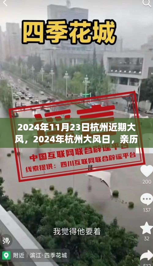 亲历大风下的杭州魅力与挑战，2024年杭州大风日实录