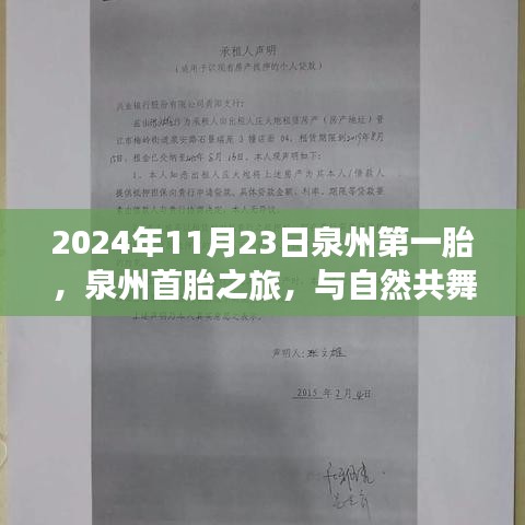 泉州首胎之旅，与自然共舞，探寻内心平静的奇妙探险之旅（2024年11月23日）