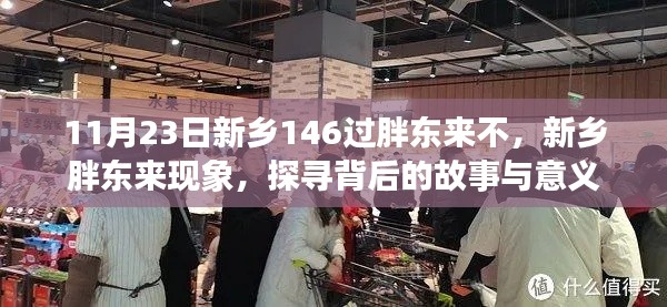 新乡胖东来现象背后的故事与意义探寻，11月23日胖东来新乡之行揭秘