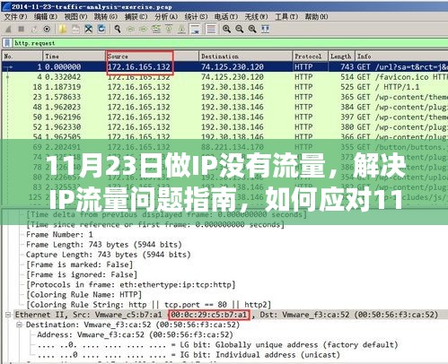 解决IP流量问题指南，应对11月23日IP无流量情况的策略