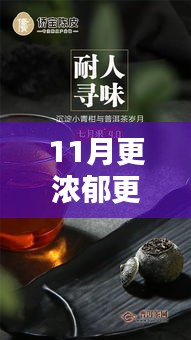 深度测评与介绍，11月，浓郁醇香的季节