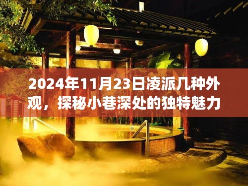 探秘凌派时尚小店，外貌变迁与独特环境之旅（2024年11月23日）