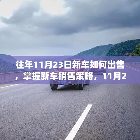 掌握策略，如何在11月23日成功出售新车——从初学者到进阶用户的全方位指南