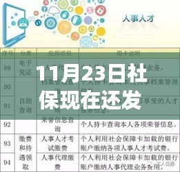 11月23日社保动态，社保卡升级与发放的最新变化，学习铸就自信与成就之路