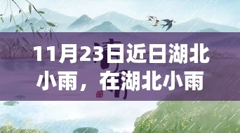 湖北小雨洗礼下的学习力量与自信绽放之旅