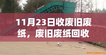 11月23日废旧废纸回收全攻略，轻松上手实践