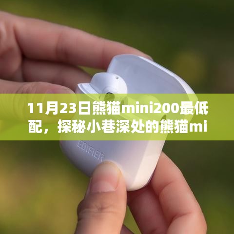 熊猫mini200最低配乐园探秘，小巷深处的特色小店