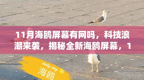 揭秘全新海鸥屏幕，科技浪潮下的智能联网重塑视界体验