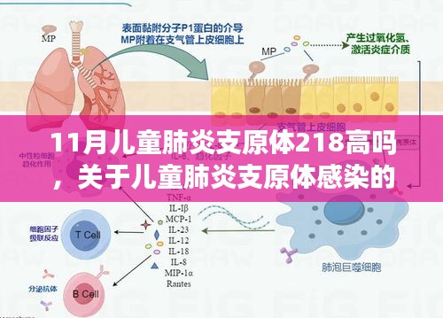 揭秘儿童肺炎支原体感染的真相，数值背后的深度解析与应对策略（11月专题）