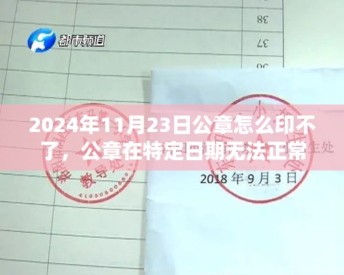 2024年11月23日公章失效之谜，原因分析与解决策略探讨