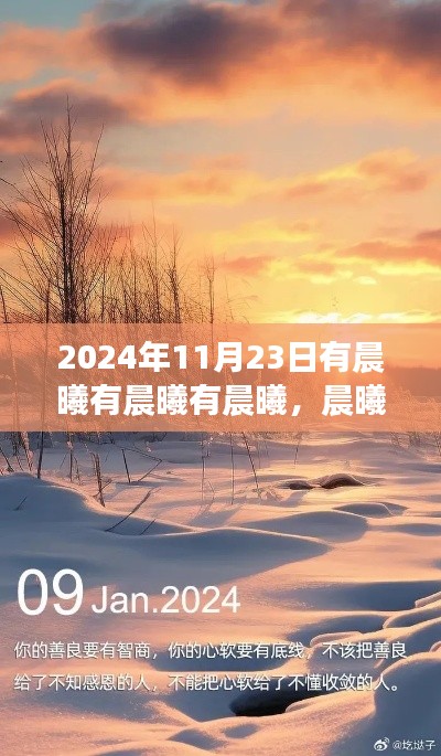 晨曦再现，2024年11月23日的特别晨曦