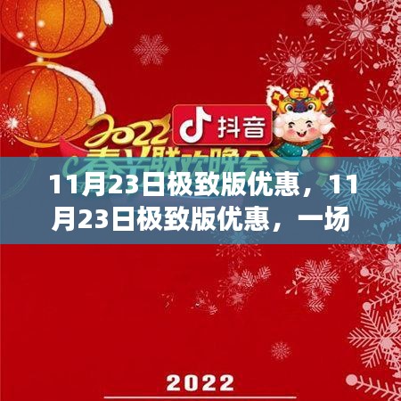 11月23日极致版优惠，11月23日极致版优惠，一场充满欢笑与惊喜的购物狂欢