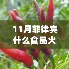 菲律宾美食风潮揭秘，十一月火热盛行的食品盘点