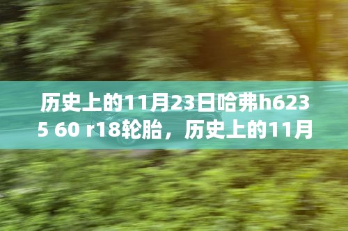 揭秘历史上的轮胎演变之旅，哈弗H6轮胎规格H235 R18揭秘与演变历程回顾。