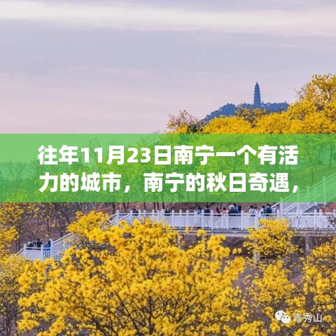 南宁秋日奇遇，活力四溢的温馨城市故事