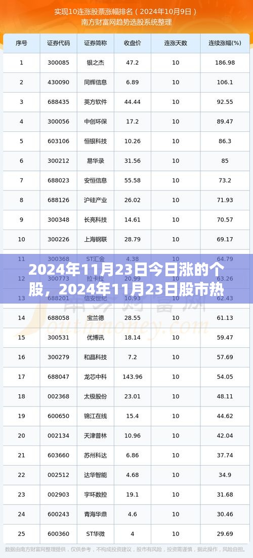 2024年11月23日股市热门个股深度剖析与评测