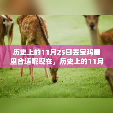 历史上的11月25日，宝鸡科技之旅，探索未来生活的无限可能