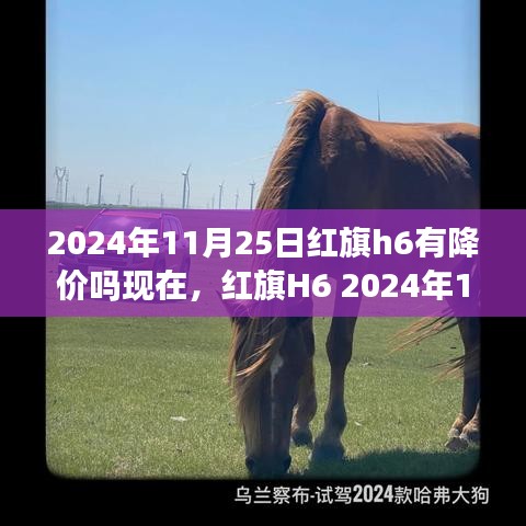 红旗H6 2024年深度评测，价格走势、特性解析、使用体验与目标用户分析——红旗H6未来降价趋势预测