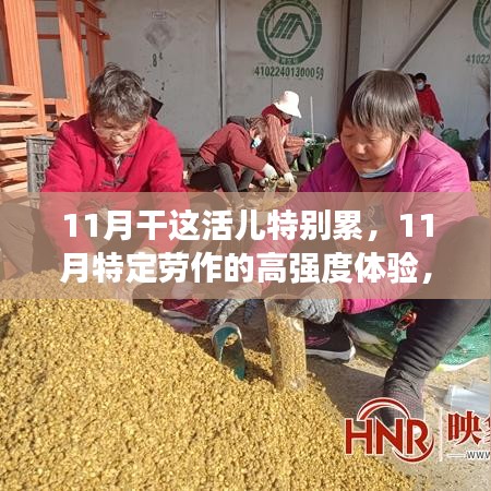 11月高强度劳作体验，特性解读与目标用户群体深度分析