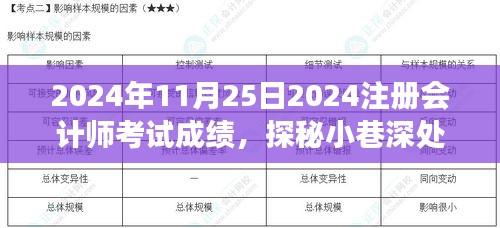 探秘小巷深处的会计梦想验证地，揭秘2024年注册会计师考试成绩揭晓之时！