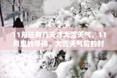 11月等待大雪，时光流转中的观点碰撞与期待