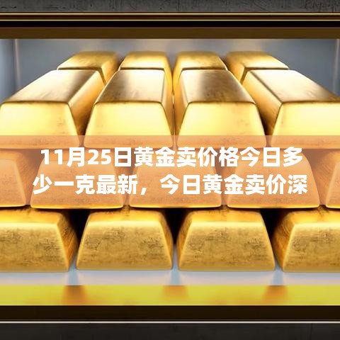 今日黄金卖价深度解析，价格、特性、使用体验与竞品对比（11月25日更新）