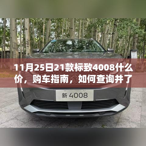 11月25日标致4008最新价格购车指南，如何查询并了解最新价格信息