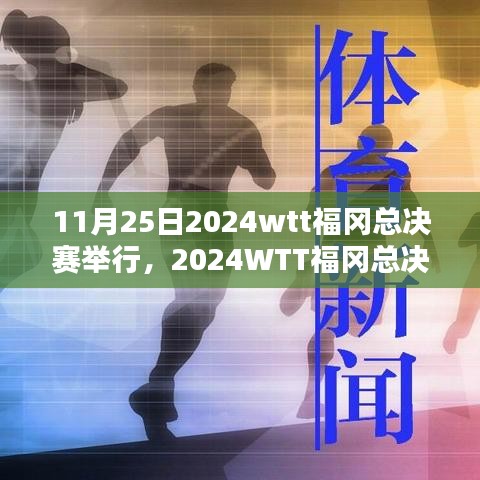 2024WTT福冈总决赛攻略，领跑冠军之路