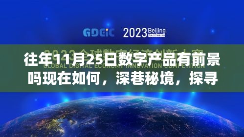 深巷秘境中的数字产品宝藏店，探寻数字产品新机遇与往年11月25日的发展前景分析