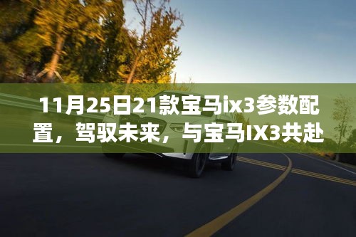 驾驭未来，共赴自然美景之旅，宝马IX3参数配置详解与心灵宁静之旅