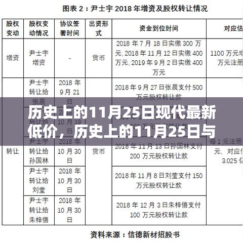 历史上的11月25日与现代最新低价深度解析与观点分享