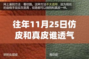 真皮与仿皮透气性的对比，一个关于透气性与友情的探讨