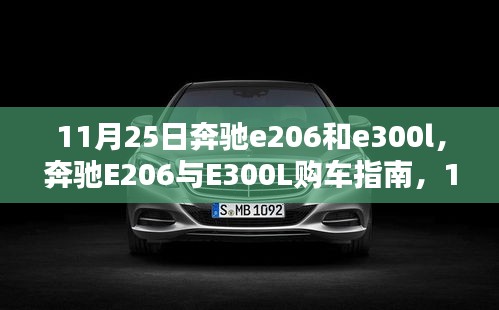 奔驰E206与E300L购车指南，11月25日购车全攻略