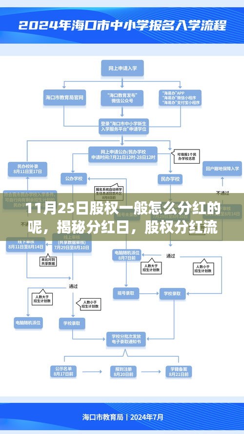 揭秘股权分红流程，从分红日至细节解析的指南（11月25日篇）