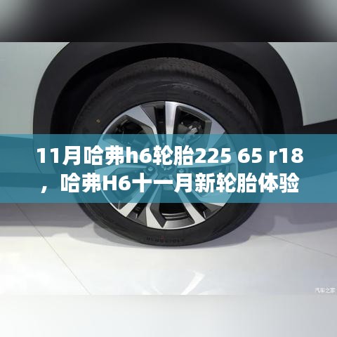 哈弗H6新轮胎体验，225/65R18轮胎开启驾驶新篇章