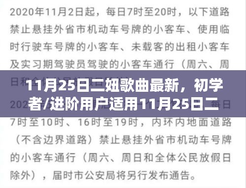 11月25日二妞歌曲最新，适合初学者与进阶用户的聆听与下载指南