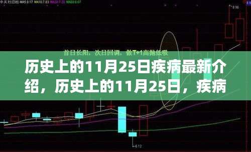 历史上的11月25日，疾病之日的深度解读与最新介绍