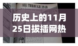 历史上的11月25日，拔插网域名的探索之旅与心灵平和的自然美景之旅