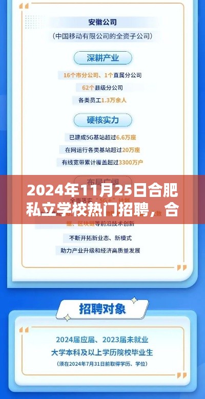 合肥私立学校热门招聘日，学习之光引领未来之路，2024年11月25日盛大开启