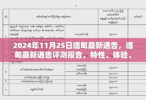 2024年11月25日缅甸最新通告，缅甸最新通告评测报告，特性、体验、竞品对比及用户群体分析（2024年11月版）