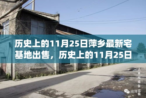 历史上的11月25日萍乡宅基地出售事件深度解析与观点视角