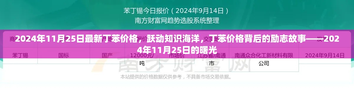 探寻丁苯价格背后的故事，曙光中的励志篇章（2024年11月25日最新资讯）