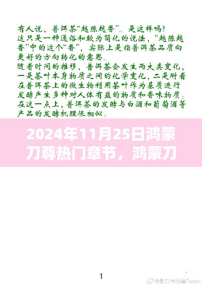 鸿蒙刀尊热门章节深度探析，一窥某观点的阐述