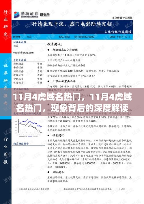 11月4虎域名热门现象深度解读与个人观点分享