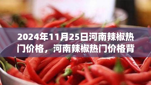 河南辣椒热门价格背后的励志故事，自信成就梦想之路的探寻与启示（日期，XXXX年XX月XX日）