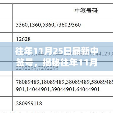 揭秘往年11月25日最新中签号解析与洞察，要点解析及中签号一览表