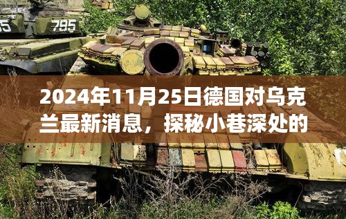 2024年11月25日德国对乌克兰最新消息，探秘小巷深处的独特风味——2024年11月25日德国与乌克兰交汇的美食奇缘