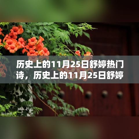 历史上的11月25日舒婷热门诗歌，深度测评与介绍