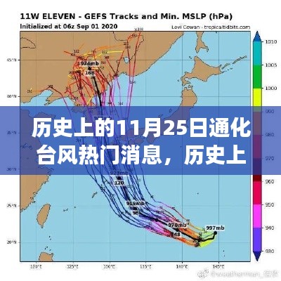 历史上的11月25日通化台风事件深度解读与多维分析