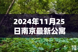 探秘南京小巷深处的宝藏公寓，隐藏在繁华背后的独特风情（最新公寓介绍）